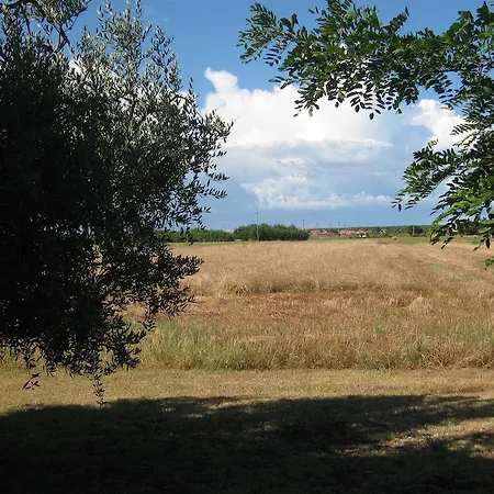 Bella Valle Farm stay *
