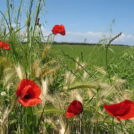 Séjour à la ferme Podere Vallescaia - Bella Valle Marina di Cecina